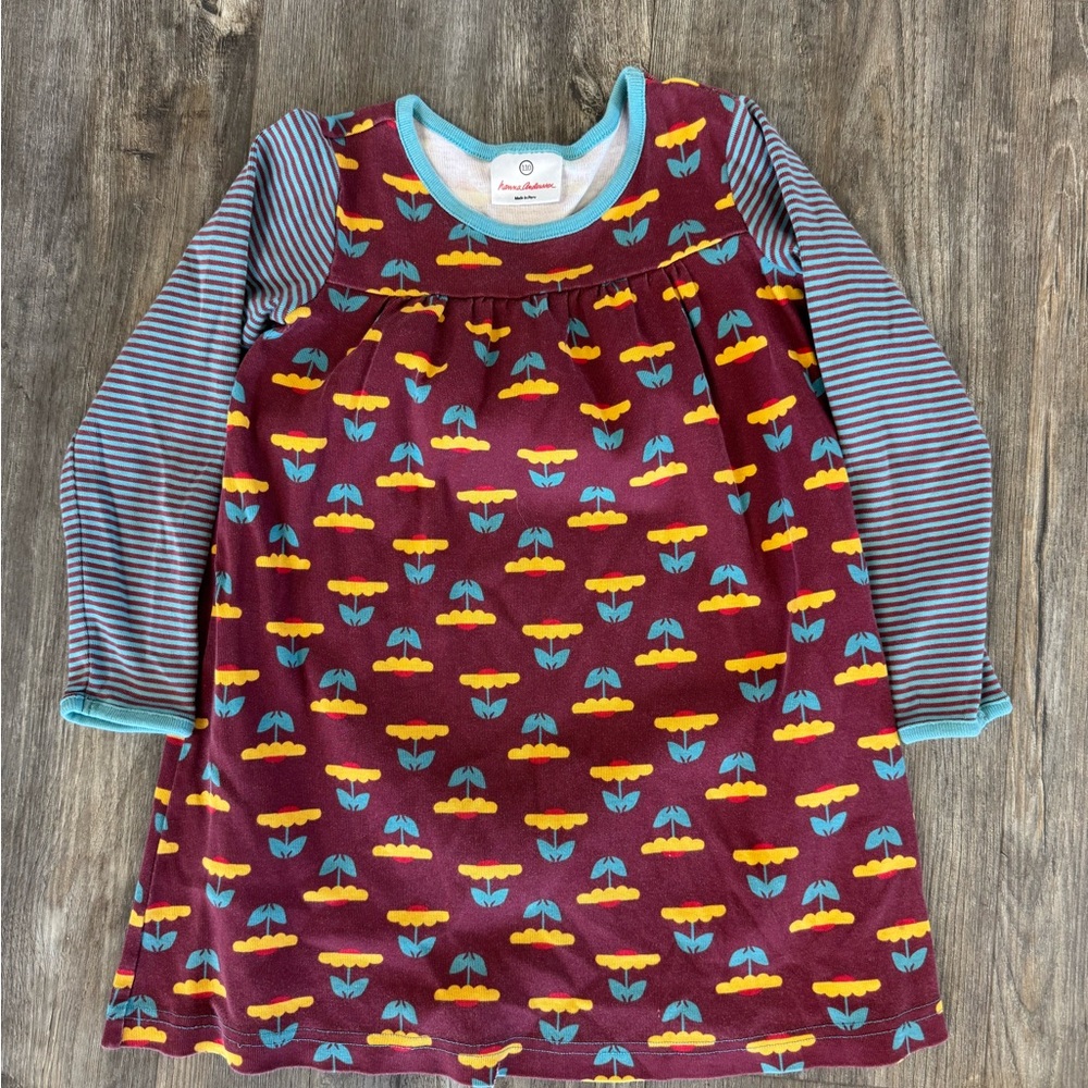 Hanna Andersson Multicolor Kids' Shirt